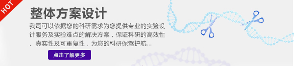 整體方案設(shè)計